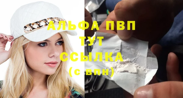 стаф Семикаракорск
