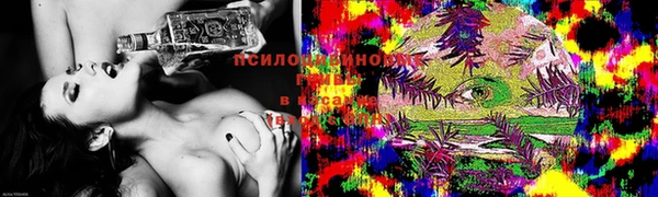 спиды Балахна