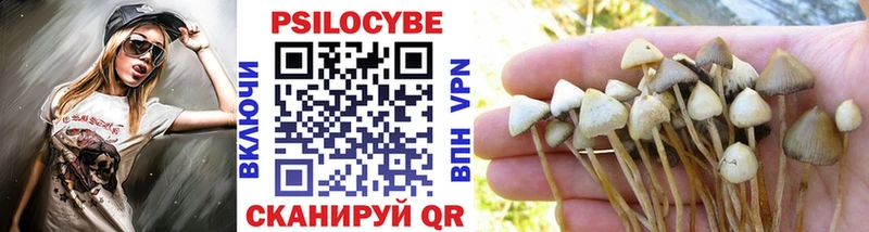 shop какой сайт  закладка  блэк спрут ссылка  Куйбышев  Галлюциногенные грибы Cubensis 