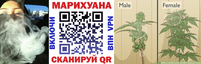 Бошки марихуана сатива Куйбышев